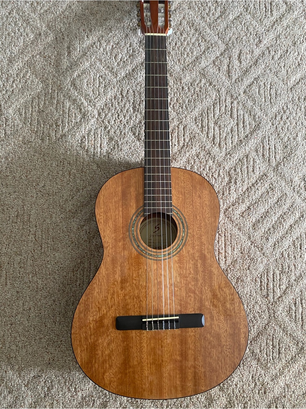 Greg Bennett CNG1 Classical Guitar - Natural Satin